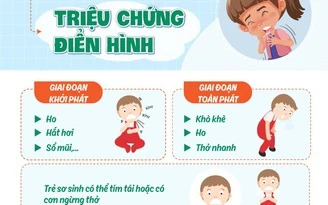 5 Biện Pháp Phòng, Chống Các Bệnh Lây Truyền Qua Đường Hô Hấp.