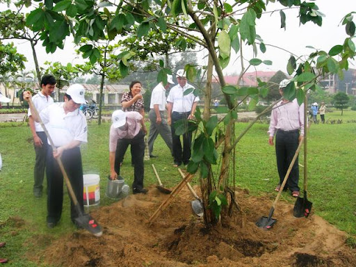 Hưởng ứng Ngày Môi trường Thế giới 5/6